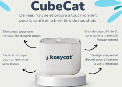 Création visuel post facebook - Canva